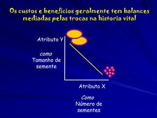 Os custos e benefícios geralmente tem balances
mediadas pelas trocas na historia vital
Atributo Y

como

Tamanho de
semente
Atributo X

Como

Número de
sementes

 