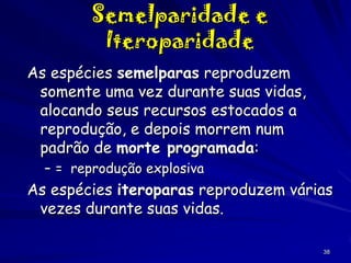 Semelparidade e
Iteroparidade
As espécies semelparas reproduzem
somente uma vez durante suas vidas,
alocando seus recursos estocados a
reprodução, e depois morrem num
padrão de morte programada:
– = reprodução explosiva

As espécies iteroparas reproduzem várias
vezes durante suas vidas.
38

 