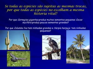 Se todas as espécies são sujeitas as mesmas trocas,
por que todas as espécies no escolham a mesma
historia vital?
Por que Carnegiea gigantea produz muitos sementes pequenos Cocos
nucifera produz poucos sementes grandes?
Por que Columba liva tem ninhadas grandes e Harpia harpyja tem ninhadas
pequenas?

 