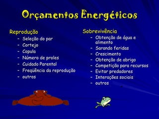 Orçamentos Energéticos
Reprodução
–
–
–
–
–
–
–

Seleção do par
Cortejo
Copula
Número de proles
Cuidado Parental
Freqüência da reprodução
outros

Sobrevivência

– Obtenção de água e
alimento
– Sarando feridas
– Crescimento
– Obtenção de abrigo
– Competição para recursos
– Evitar predadores
– Interações sociais
– outros

 