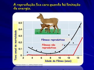 Taxa anual de mortalidade

A reprodução fica cara quando há limitação
de energia.

Fêmeas reprodutivas
Fêmeas não
reprodutivas

Idade da Fêmea (anos)

 
