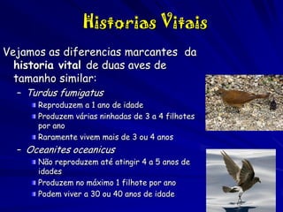 Historias Vitais
Vejamos as diferencias marcantes da
historia vital de duas aves de
tamanho similar:
– Turdus fumigatus

Reproduzem a 1 ano de idade
Produzem várias ninhadas de 3 a 4 filhotes
por ano
Raramente vivem mais de 3 ou 4 anos

– Oceanites oceanicus

Não reproduzem até atingir 4 a 5 anos de
idades
Produzem no máximo 1 filhote por ano
Podem viver a 30 ou 40 anos de idade
8

 