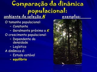 Comparação da dinâmica
populacional:

ambiente de seleção K

O tamanho populacional:
– Constante
– Geralmente próximo a K
O crescimento populacional:
– Dependente da
densidade
– Logístico
A dinâmica é:
– Estado estável
– equilíbrio

exemplos:

 