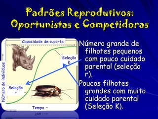 Padrões Reprodutivos:
Oportunistas e Competidoras

Número de indivíduos

Capacidade de suporte

Seleção
K

Seleção
r
Tempo

Número grande de
filhotes pequenos
com pouco cuidado
parental (seleção
r).
Poucos filhotes
grandes com muito
cuidado parental
(Seleção K).

 