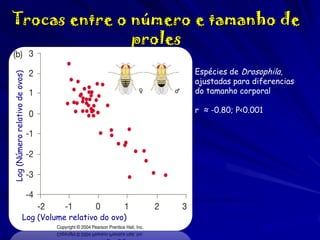 Log (Número relativo de ovos)

Trocas entre o número e tamanho de
proles

Log (Volume relativo do ovo)

Espécies de Drosophila,
ajustadas para diferencias
do tamanho corporal

r ≈ -0.80; P<0.001

 