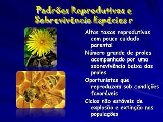 Padrões Reprodutivos e
Sobrevivência Espécies r
Altas taxas reprodutivas
com pouco cuidado
parental
Número grande de proles
acompanhado por uma
sobrevivência baixa das
proles
Oportunistas que
reproduzem sob condições
favoráveis
Ciclos não estáveis de
explosão e extinção nas
populações

 