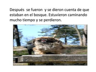 Después se fueron y se dieron cuenta de que
estaban en el bosque. Estuvieron caminando
mucho tiempo y se perdieron.

 