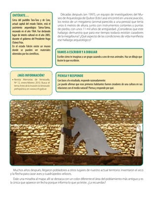 Décadas después (en 1997), un equipo de investigadores del Mu-
seo de Arqueología de Quibor (Edo Lara) encontró en una excavación,
los restos de un megaterio (animal parecido a una pereza) que tenía
unos 6 metros de altura, junto con instrumentos cortantes y puntas
de piedra, con unos 11 mil años de antigüedad. ¿Consideras que este
hallazgo demuestra que para ese tiempo todavía existían cazadores
de la megafauna? ¿Qué aspecto de las condiciones de vida manifiesta
ese hallazgo arqueológico?
Muchos años después, llegaron pobladores a otros lugares de nuestro actual territorio: inventaron el arco
y la flecha para cazar aves y cuadrúpedos veloces.
Dale una miradita al mapa: allí se destaca con un color diferente el área del poblamiento más antiguo y es
la única que aparece sin fecha porque informa lo que ya leíste. ¿La recuerdas?
Entérate…
Cerca del pueblito Tara-Tara y de Coro,
actual capital del estado Falcón, está el
yacimiento arqueológico Taima-Taima,
excavado en el año 1964. Fue declarado
lugar de interés cultural en el año 2005,
durante el gobierno del Presidente Hugo
ChávezFrías.
En el estado Falcón existe un museo
donde se pueden ver materiales
obtenidos por los científicos. Vamos a escribir y a dibujar
Escribe cómo te imaginas a un grupo cazando a uno de esos animales. Haz un dibujo que
ilustre lo que escribiste.
Piensa y responde
Con base a lo estudiado, responde razonadamente:
¿se puede afirmar que esos primeros habitantes fueron creadores de una cultura en sus
relaciones con el medio natural? Piensa y responde por qué.
¿Más información?
•• Revista Memorias de Venezuela,
Nº 12, enero-febrero 2010. Busca el
temaAntesdelainvasión:laVenezuela
prehispánica,en: www.cnh.gob.ve
 