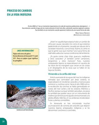 20
El año 4000 a.C. fue un momento importante en la vida de nuestras poblaciones aborígenes (…)
fue entonces cuando el agua de los mares alcanzó el nivel más alto, cubriendo nuestras regiones costeras.
Fue también en ese momento cuando aparecen indicios de una nueva forma de vida.
Mario Sanoja Obediente
(Antropólogo venezolano).
PROCESO DE CAMBIOS
EN LA VIDA INDÍGENA
¿Viste? en aquella lejana época hubo un cambio de
clima por causas naturales (no como el que estamos
padeciendo en el presente, causado por abusos de la
sociedad industrial y consumista). Bueno, lo cierto es
que la gente tuvo que inventar “una nueva forma de
vida”adecuada a las nuevas condiciones del ambiente.
¿Te gusta comer chipi chipi, guacuco, mejillones
y otros caracoles? ¿Y tambien comer camarones,
langostinos y otros mariscos? Pues, nuestros
antepasados lejanos se especializaron en sacarlos de
las raíces de los manglares que crecen en las costas
y en despegarlos de las rocas que se hallan en las
lagunas litorales.
Viviendo a la orilla del mar
Ante la avanzada de las aguas del mar, los indígenas
nómadas que caminaban por áreas costeras, se
especializaron en recolectar caracoles y mariscos para
comerse su nutritiva carne. Hacia el año 2000 a.d.n.e.
la recolección de conchas se había generalizado en
costas del mar Caribe y de los océanos Atlántico y
Pacífico; porque aunque también pescaban, era poca
la cantidad que podían sacar con un instrumento de
maderaqueteníalapuntaagudaoteníaamarradauna
piedra afilada. Además, en sus andanzas recolectaban
frutas y plantas comestibles.
En Venezuela se han encontrado muchas
acumulaciones de conchas de caracoles que dejaron
nuestros lejanos antepasados indígenas y se les
denominan concheros o conchales.Conchero al sur de Puerto Deseado
¿Más información?
Página web www.cnh.gob.ve.
RevistaMemoriasdeVenezuelaNo
19,abril
2011. Busca en página 6¿qué significan
los petroglifos?
.
 