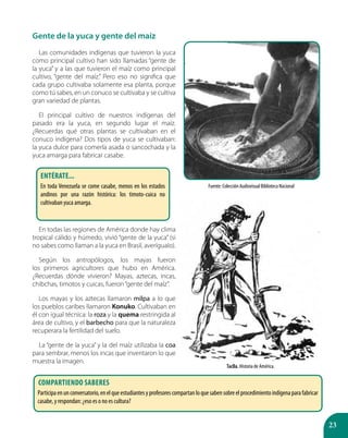 23
Gente de la yuca y gente del maíz
Las comunidades indígenas que tuvieron la yuca
como principal cultivo han sido llamadas “gente de
la yuca” y a las que tuvieron el maíz como principal
cultivo, “gente del maíz.” Pero eso no significa que
cada grupo cultivaba solamente esa planta, porque
como tú sabes, en un conuco se cultivaba y se cultiva
gran variedad de plantas.
El principal cultivo de nuestros indígenas del
pasado era la yuca, en segundo lugar el maíz.
¿Recuerdas qué otras plantas se cultivaban en el
conuco indígena? Dos tipos de yuca se cultivaban:
la yuca dulce para comerla asada o sancochada y la
yuca amarga para fabricar casabe.
En todas las regiones de América donde hay clima
tropical cálido y húmedo, vivió “gente de la yuca” (si
no sabes como llaman a la yuca en Brasil, averígualo).
Según los antropólogos, los mayas fueron
los primeros agricultores que hubo en América.
¿Recuerdas dónde vivieron? Mayas, aztecas, incas,
chibchas, timotos y cuicas, fueron“gente del maíz”.
Los mayas y los aztecas llamaron milpa a lo que
los pueblos caribes llamaron Konuko. Cultivaban en
él con igual técnica: la roza y la quema restringida al
área de cultivo, y el barbecho para que la naturaleza
recuperara la fertilidad del suelo.
La “gente de la yuca” y la del maíz utilizaba la coa
para sembrar, menos los incas que inventaron lo que
muestra la imagen.
Taclla. Historia de América.
Entérate...
En toda Venezuela se come casabe, menos en los estados
andinos por una razón histórica: los timoto-cuica no
cultivaban yuca amarga.
Compartiendo saberes
Participaenunconversatorio,enelqueestudiantesyprofesorescompartanloquesabensobreelprocedimientoindígenaparafabricar
casabe, y respondan: ¿eso es o no es cultura?
Fuente: Colección Audiovisual Biblioteca Nacional
 