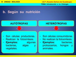 III UNIDAD : BIOLOGÍA
TEMA: Introducción a la Citología
I.E.P «Nuestra Señora de Guadalupe»
b. Según su nutrición
AUTÓTROFAS HETERÓTROFAS
- Son células productoras.
- Realizan la fotosíntesis.
- Ejemplos: algunas
bacterias, algas y
vegetales.
- Son células consumidoras
- No realizan la fotosíntesis.
- Ejemplos: bacterias,
protozoarios, hongos y
animales.
 