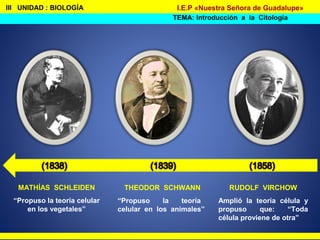 THEODOR SCHWANN
“Propuso la teoría
celular en los animales”
MATHÍAS SCHLEIDEN
“Propuso la teoría celular
en los vegetales”
III UNIDAD : BIOLOGÍA
TEMA: Introducción a la Citología
I.E.P «Nuestra Señora de Guadalupe»
RUDOLF VIRCHOW
Amplió la teoría célula y
propuso que: “Toda
célula proviene de otra”
 
