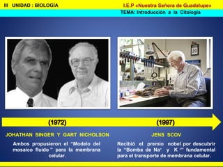 JOHATHAN SINGER Y GART NICHOLSON
Ambos propusieron el “Modelo del
mosaico fluido ” para la membrana
celular.
III UNIDAD : BIOLOGÍA
TEMA: Introducción a la Citología
I.E.P «Nuestra Señora de Guadalupe»
JENS SCOV
Recibió el premio nobel por descubrir
la “Bomba de Na+
y K +
” fundamental
para el transporte de membrana celular.
 