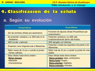 III UNIDAD : BIOLOGÍA
TEMA: Introducción a la Citología
I.E.P «Nuestra Señora de Guadalupe»
a. Según su evolución
 