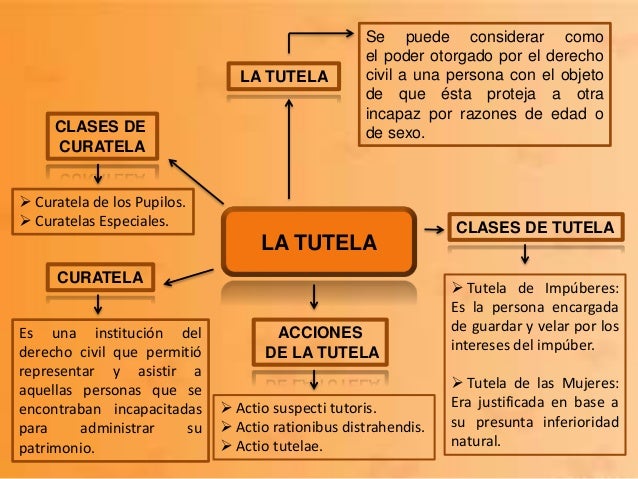Historia y evolucion del derecho i(tutela y propiedad)