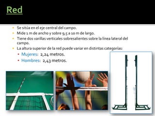  Se sitúa en el eje central del campo.
 Mide 1 m de ancho y sobre 9,5 a 10 m de largo.
 Tiene dos varillas verticales sobresalientes sobre la línea lateral del
  campo.
 La altura superior de la red puede variar en distintas categorías:
   ▪ Mujeres: 2,24 metros.
   ▪ Hombres: 2,43 metros.
 