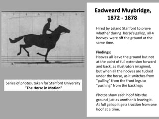 EEaaddwweeaarrdd MMuuyybbrriiddggee,, 
7 
11887722 -- 11887788 
Hired by Leland Stanford to prove 
whether during horse's gallop, all 4 
hooves were off the ground at the 
same time. 
Findings: 
Hooves all leave the ground but not 
at the point of full extension forward 
and back, as illustrators imagined, 
but when all the hooves are tucked 
under the horse, as it switches from 
"pulling" from the front legs to 
"pushing" from the back legs 
Photos show each hoof hits the 
ground just as another is leaving it. 
At full gallop it gets traction from one 
hoof at a time. 
Series of photos, taken for Stanford University 
“The Horse in Motion” 
 