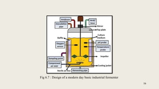16
Fig 6.7 : Design of a modern day basic industrial fermenter
 