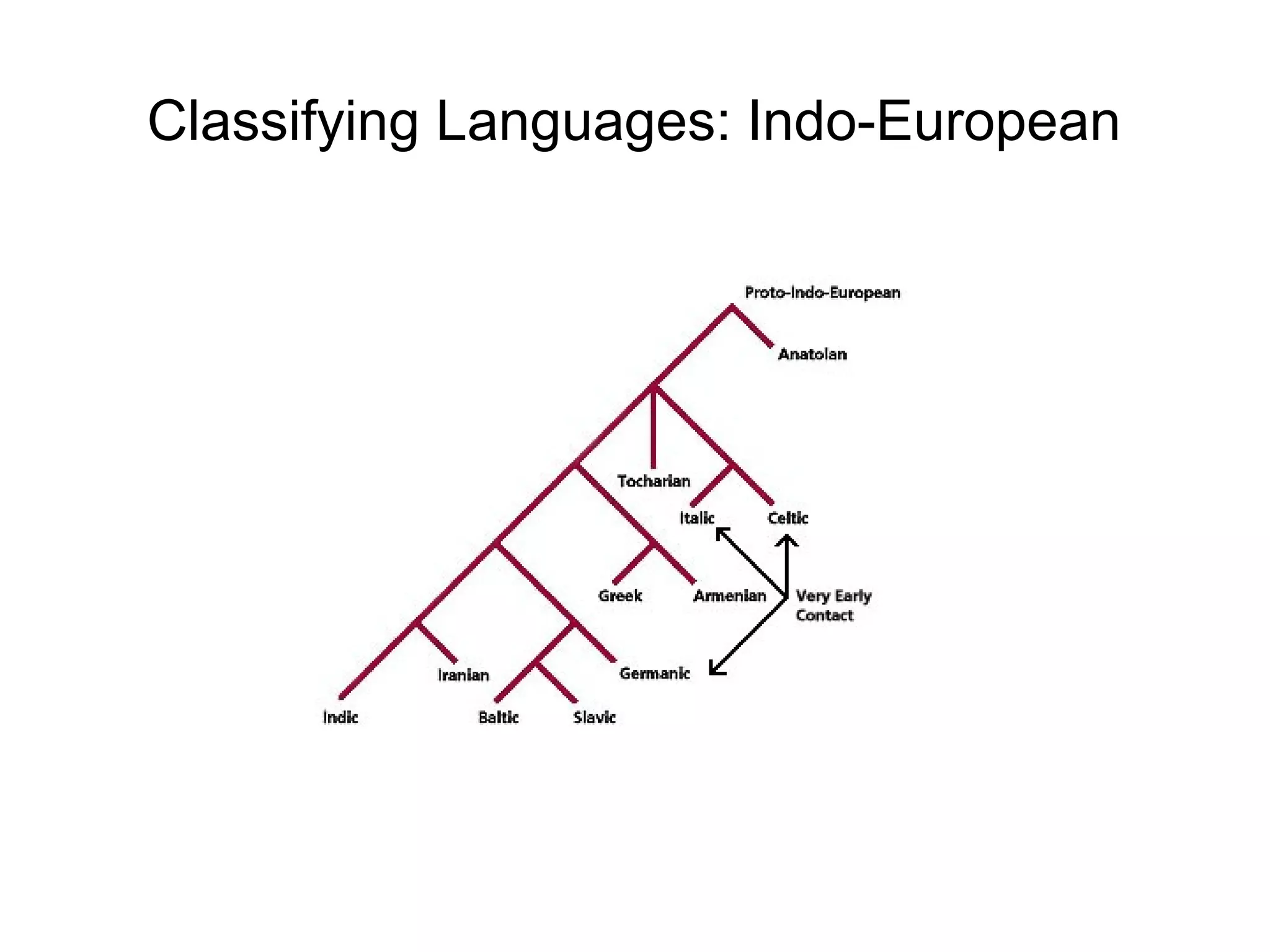 Classifying Languages: Indo-European
 