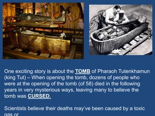 One exciting story is about the TOMB of Pharaoh Tutenkhamun
(king Tut) – When opening the tomb, dozens of people who
were at the opening of the tomb (of 58) died in the following
years in very mysterious ways, leaving many to believe the
tomb was CURSED.
Scientists believe their deaths may’ve been caused by a toxic
 