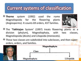 The 'Takhtajan System’ (1997) treats flowering plants as a
division (phylum), Magnoliophyta, with two classes,
Magnoliopsida (dicots) and Liliopsida (monocots).
 These two classes are subdivided into subclasses, and then super-
orders, orders, and families.
 Thorne system (1992) used the name
Magnoliopsida for the flowering plants
(Angiosperms). It counts 69 orders, 437 families.
 