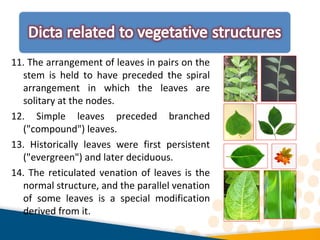11. The arrangement of leaves in pairs on the
stem is held to have preceded the spiral
arrangement in which the leaves are
solitary at the nodes.
12. Simple leaves preceded branched
("compound") leaves.
13. Historically leaves were first persistent
("evergreen") and later deciduous.
14. The reticulated venation of leaves is the
normal structure, and the parallel venation
of some leaves is a special modification
derived from it.
 