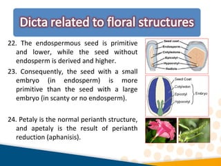 22. The endospermous seed is primitive
and lower, while the seed without
endosperm is derived and higher.
23. Consequently, the seed with a small
embryo (in endosperm) is more
primitive than the seed with a large
embryo (in scanty or no endosperm).
24. Petaly is the normal perianth structure,
and apetaly is the result of perianth
reduction (aphanisis).
 