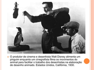    O produtor de cinema e desenhista Walt Disney alimenta um
    pinguim enquanto um cinegrafista filma os movimentos do
    animal para facilitar o trabalho dos desenhistas na elaboração
    de desenho animado. Estados Unidos, Califórnia, 1930.
 