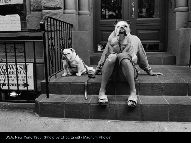 Photo by elliott erwitt magnum photos Photo by elliott erwitt magnum photos