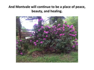 And Montvale will continue to be a place of peace,
             beauty, and healing.
 