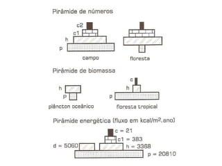 HISTORICO-DA-ECOLOGIA.ppt