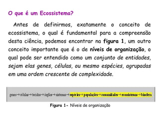 O que é um Ecossistema?
Antes de definirmos, exatamente o conceito de
ecossistema, o qual é fundamental para a compreensão
desta ciência, podemos encontrar na figura 1, um outro
conceito importante que é o de níveis de organização, o
qual pode ser entendido como um conjunto de entidades,
sejam elas genes, células, ou mesmo espécies, agrupadas
em uma ordem crescente de complexidade.
Figura 1- Níveis de organização
 