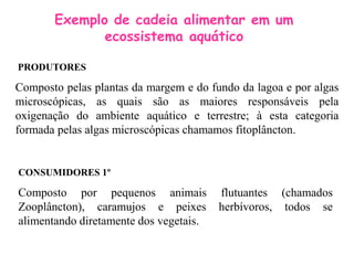 Exemplo de cadeia alimentar em um
ecossistema aquático
PRODUTORES
Composto pelas plantas da margem e do fundo da lagoa e por algas
microscópicas, as quais são as maiores responsáveis pela
oxigenação do ambiente aquático e terrestre; à esta categoria
formada pelas algas microscópicas chamamos fitoplâncton.
CONSUMIDORES 1º
Composto por pequenos animais flutuantes (chamados
Zooplâncton), caramujos e peixes herbívoros, todos se
alimentando diretamente dos vegetais.
 