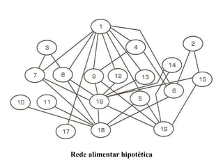 Rede alimentar hipotética
 