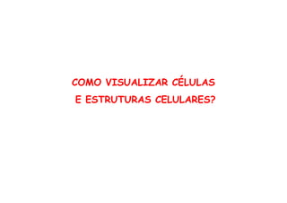 COMO VISUALIZAR CÉLULAS
E ESTRUTURAS CELULARES?
E ESTRUTURAS CELULARES?
 