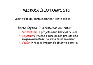 MICROSCÓPIO COMPOSTO
• Constituído de: parte mecânica + parte óptica
– Parte Óptica  3 sistemas de lentes
• Condensador  projeta a luz sobre as células
• Condensador  projeta a luz sobre as células
• Objetiva  recebe o cone de luz, projeta uma
imagem aumentada, no plano focal da ocular
• Ocular  recebe imagem da objetiva e amplia
 