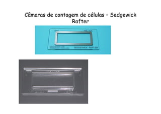 Câmaras de contagem de células – Sedgewick
Rafter
 