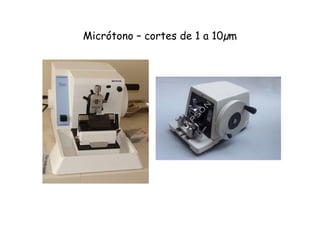 Micrótono – cortes de 1 a 10µm
 