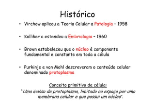 Histórico
• Virchow aplicou a Teoria Celular a Patologia – 1958
• Kolliker a estendeu a Embriologia – 1960
• Brown estabeleceu que o núcleo é componente
fundamental e constante em toda a célula
fundamental e constante em toda a célula
• Purkinje e von Mohl descreveram o conteúdo celular
denominado protoplasma
Conceito primitivo de célula:
“Uma massa de protoplasma, limitado no espaço por uma
membrana celular e que possui um núcleo”.
 