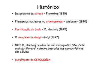 Histórico
• Descoberta da Mitose – Flemming (1880)
• Filamentos nucleares ou cromossomos – Waldeyer (1890)
• Fertilização do óvulo – O. Hertwig (1875)
• O complexo de Golgi – Golgi (1897)
• 1892 O. Hertwig relatou em sua monografia: “Die Zelle
und das Gewebe” estudos baseados nas caracerísticas
das células.
• Surgimento da CITOLOGIA
 