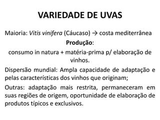 VARIEDADE DE UVAS
Maioria: Vitis vinifera (Cáucaso) → costa mediterrânea
Produção:
consumo in natura + matéria-prima p/ elaboração de
vinhos.
Dispersão mundial: Ampla capacidade de adaptação e
pelas características dos vinhos que originam;
Outras: adaptação mais restrita, permaneceram em
suas regiões de origem, oportunidade de elaboração de
produtos típicos e exclusivos.
 