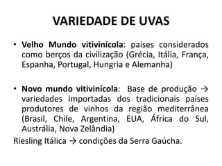 VARIEDADE DE UVAS
• Velho Mundo vitivinícola: países considerados
como berços da civilização (Grécia, Itália, França,
Espanha, Portugal, Hungria e Alemanha)
• Novo mundo vitivinícola: Base de produção →
variedades importadas dos tradicionais países
produtores de vinhos da região mediterrânea
(Brasil, Chile, Argentina, EUA, África do Sul,
Austrália, Nova Zelândia)
Riesling Itálica → condições da Serra Gaúcha.
 
