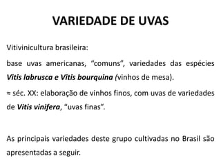 VARIEDADE DE UVAS
Vitivinicultura brasileira:
base uvas americanas, “comuns”, variedades das espécies
Vitis labrusca e Vitis bourquina (vinhos de mesa).
≈ séc. XX: elaboração de vinhos finos, com uvas de variedades
de Vitis vinifera, “uvas finas”.
As principais variedades deste grupo cultivadas no Brasil são
apresentadas a seguir.
 
