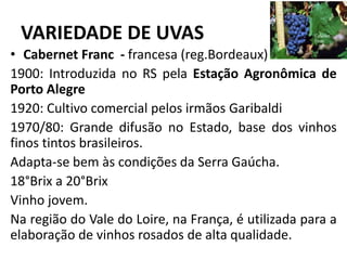 VARIEDADE DE UVAS
• Cabernet Franc - francesa (reg.Bordeaux)
1900: Introduzida no RS pela Estação Agronômica de
Porto Alegre
1920: Cultivo comercial pelos irmãos Garibaldi
1970/80: Grande difusão no Estado, base dos vinhos
finos tintos brasileiros.
Adapta-se bem às condições da Serra Gaúcha.
18°Brix a 20°Brix
Vinho jovem.
Na região do Vale do Loire, na França, é utilizada para a
elaboração de vinhos rosados de alta qualidade.
 