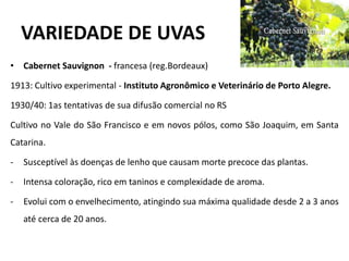 VARIEDADE DE UVAS
• Cabernet Sauvignon - francesa (reg.Bordeaux)
1913: Cultivo experimental - Instituto Agronômico e Veterinário de Porto Alegre.
1930/40: 1as tentativas de sua difusão comercial no RS
Cultivo no Vale do São Francisco e em novos pólos, como São Joaquim, em Santa
Catarina.
- Susceptível às doenças de lenho que causam morte precoce das plantas.
- Intensa coloração, rico em taninos e complexidade de aroma.
- Evolui com o envelhecimento, atingindo sua máxima qualidade desde 2 a 3 anos
até cerca de 20 anos.
 