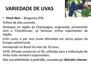 VARIEDADE DE UVAS
• Pinot Noir – Borgonha (FR)
Vinhos de alto conceito.
Destaque na região da Champagne, originando, juntamente
com a ‘Chardonnay’, os famosos vinhos espumantes da
região.
Ciclo curto, e por isso muito difundida em vários países da
Europa setentrional.
Introduzida no Brasil há mais de 70 anos.
1970: Difusão comercial no RS, utilizada para a elaboração de
vinho tinto varietal e espumantes.
Alta suscetibilidade à podridão, causada por Botrytis cinerea.
 
