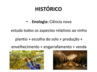 HISTÓRICO
• . Enologia: Ciência nova
estuda todos os aspectos relativos ao vinho
plantio + escolha do solo + produção +
envelhecimento + engarrafamento + venda
 