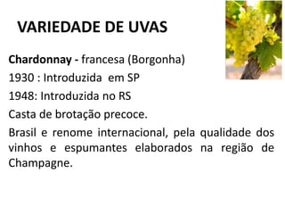 VARIEDADE DE UVAS
Chardonnay - francesa (Borgonha)
1930 : Introduzida em SP
1948: Introduzida no RS
Casta de brotação precoce.
Brasil e renome internacional, pela qualidade dos
vinhos e espumantes elaborados na região de
Champagne.
 