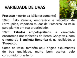 VARIEDADE DE UVAS
Prosecco – norte da Itália (espumante)
1970: Ítalo Zanella, empresário e viticultor de
Farroupilha, importou mudas de ‘Prosecco’ da Itália
para plantio em sua propriedade.
1979: Estudos ampelográficos: a variedade
encontrada nos vinhedos de Bento Gonçalves, com
o nome de Biancheta Bonoriva é, na realidade, a
‘Prosecco’.
Como na Itália, também aqui origina espumantes
de boa qualidade, muito bem aceitos pelo
consumidor brasileiro.
 