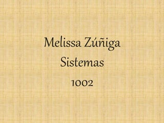 Melissa Zúñiga
Sistemas
1002
 